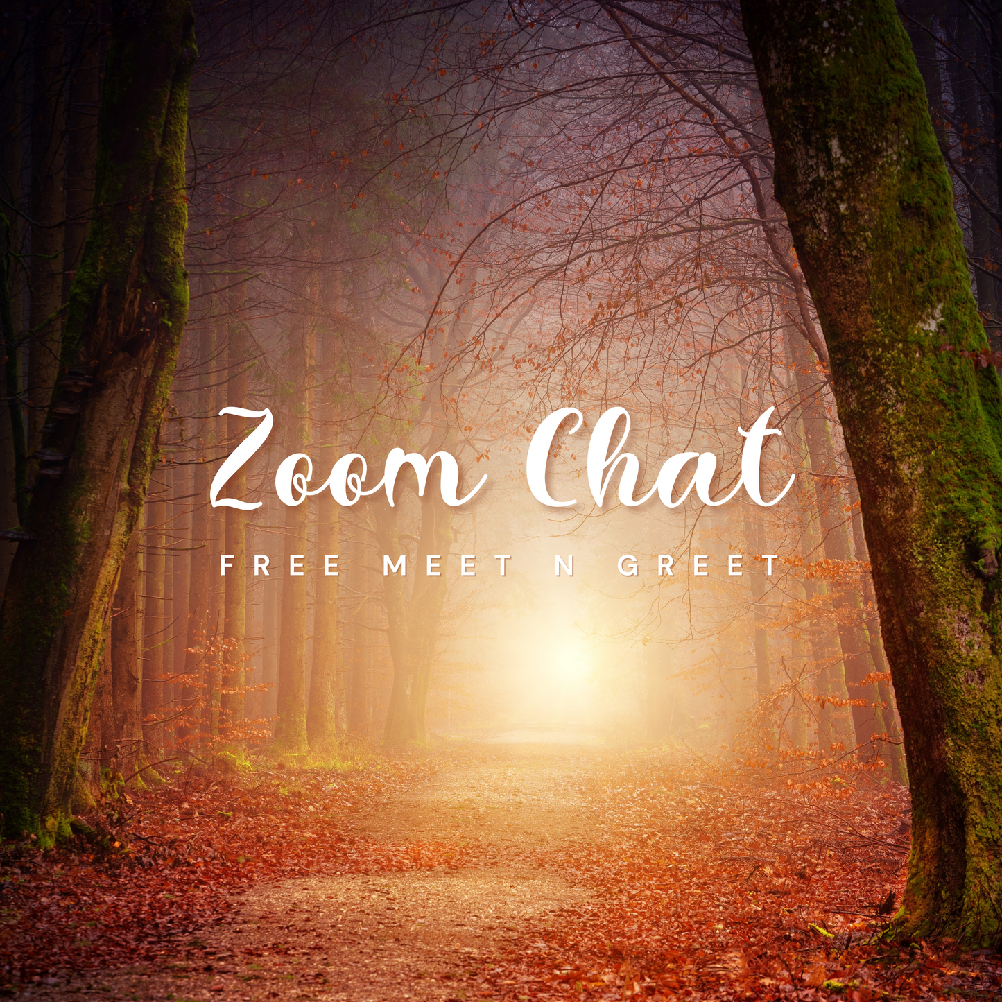 Free Zoom Chat - with Rachel Greene