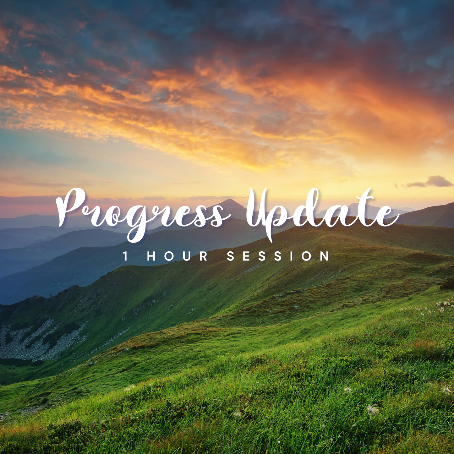 Progress Meeting - with Rachel Greene